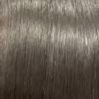 VID-20251216-WA0055.mp4